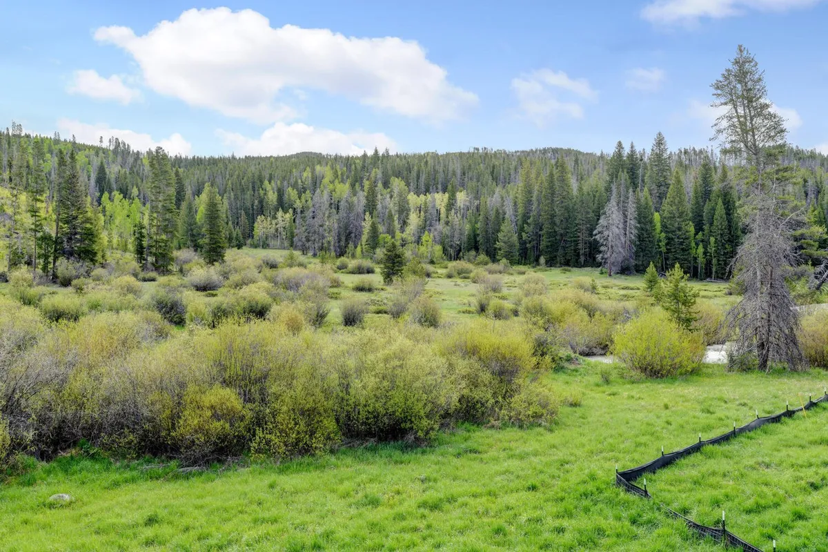 A tranquil outdoor setting highlighting lush greenery, a gentle stream, and distant mountain views. The space invites hiking, wildlife observation, and peaceful outdoor exploration, representing the serenity and beauty of the area in warmer months.